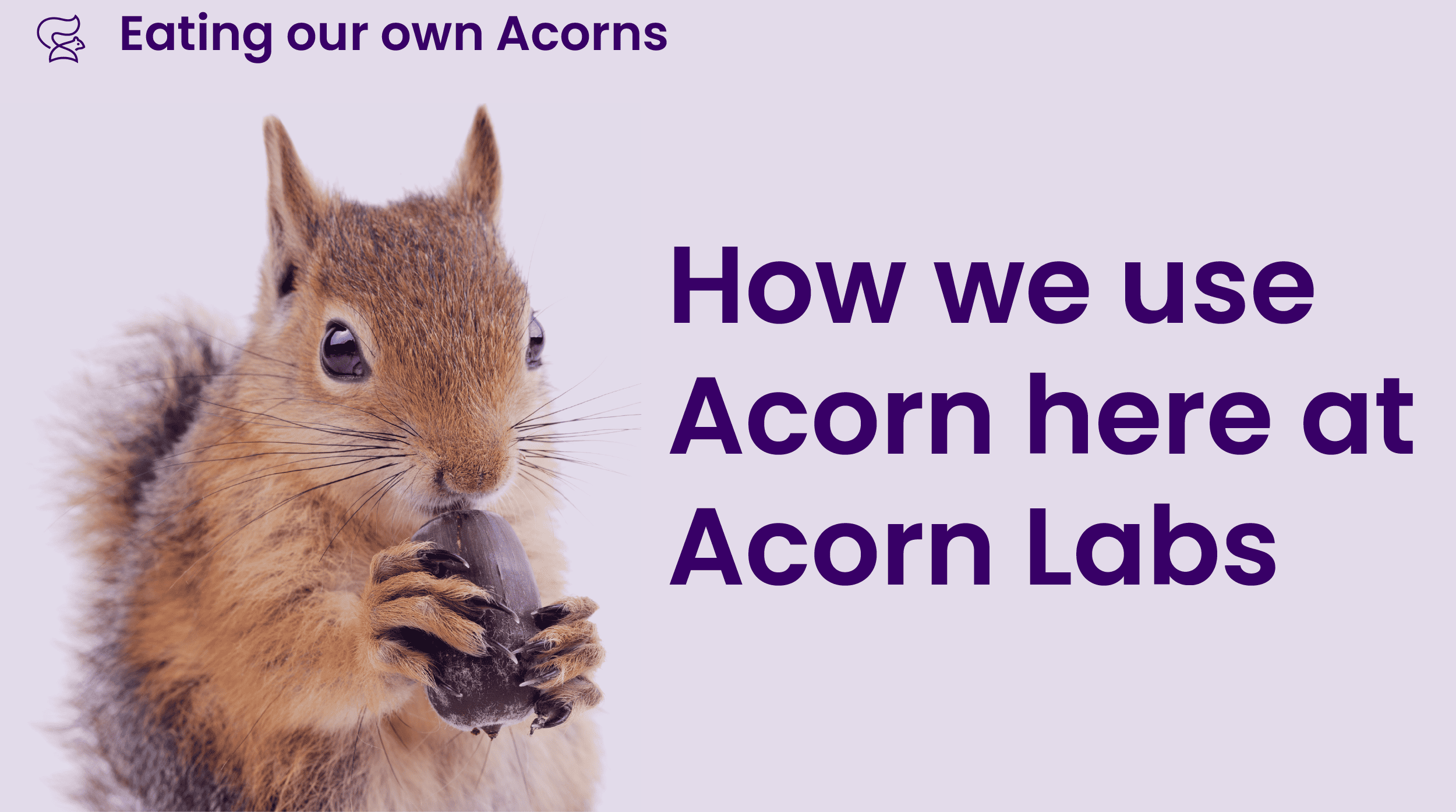 How we’re using Acorn here at Acorn Labs