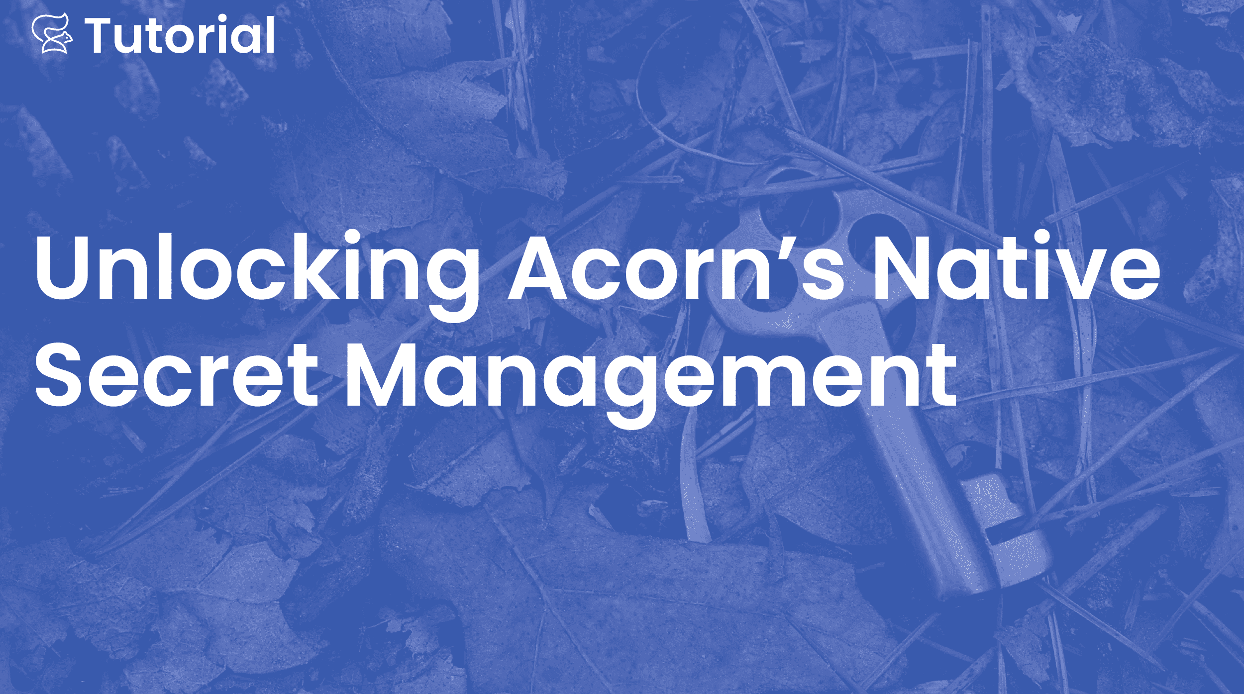 Unlocking Acorn’s Native Secret Management