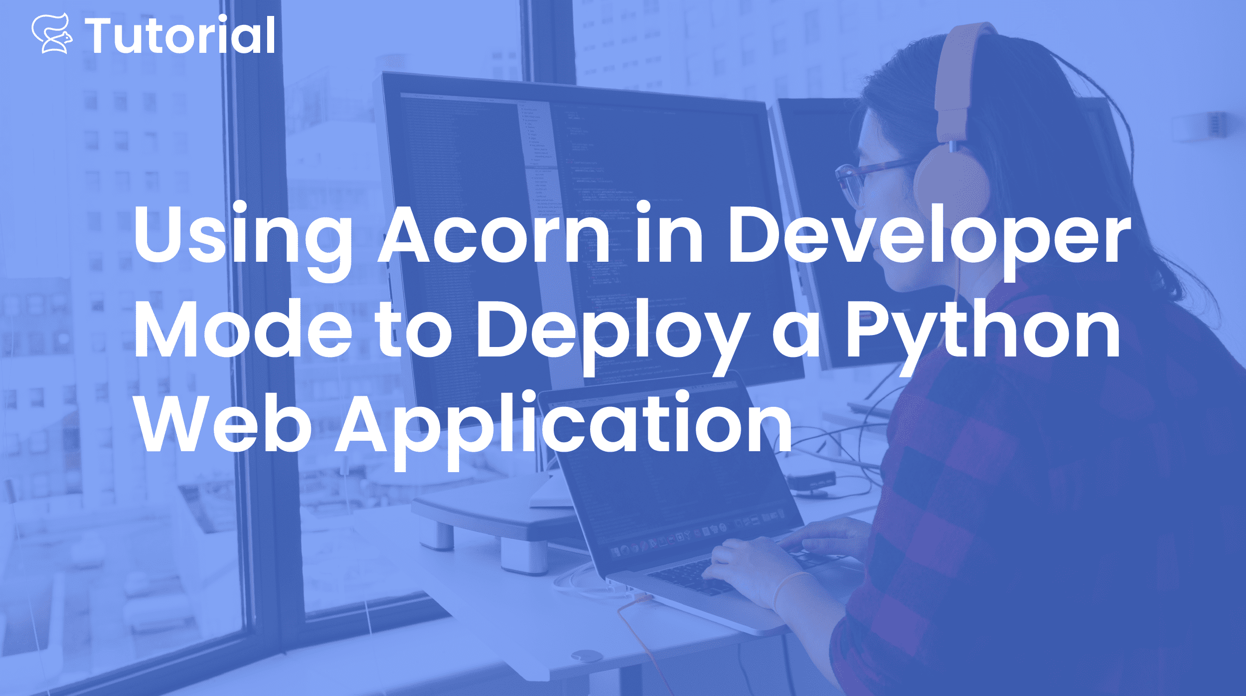 Using Acorn in Developer Mode to Build a Python Web App