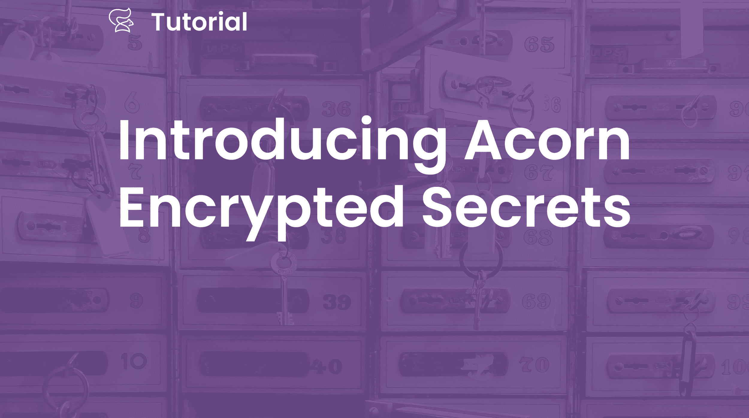 Introducing Acorn Encrypted Secrets