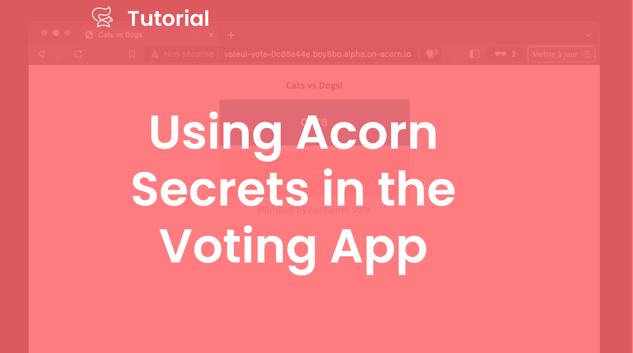 Using Acorn secrets in the Voting App