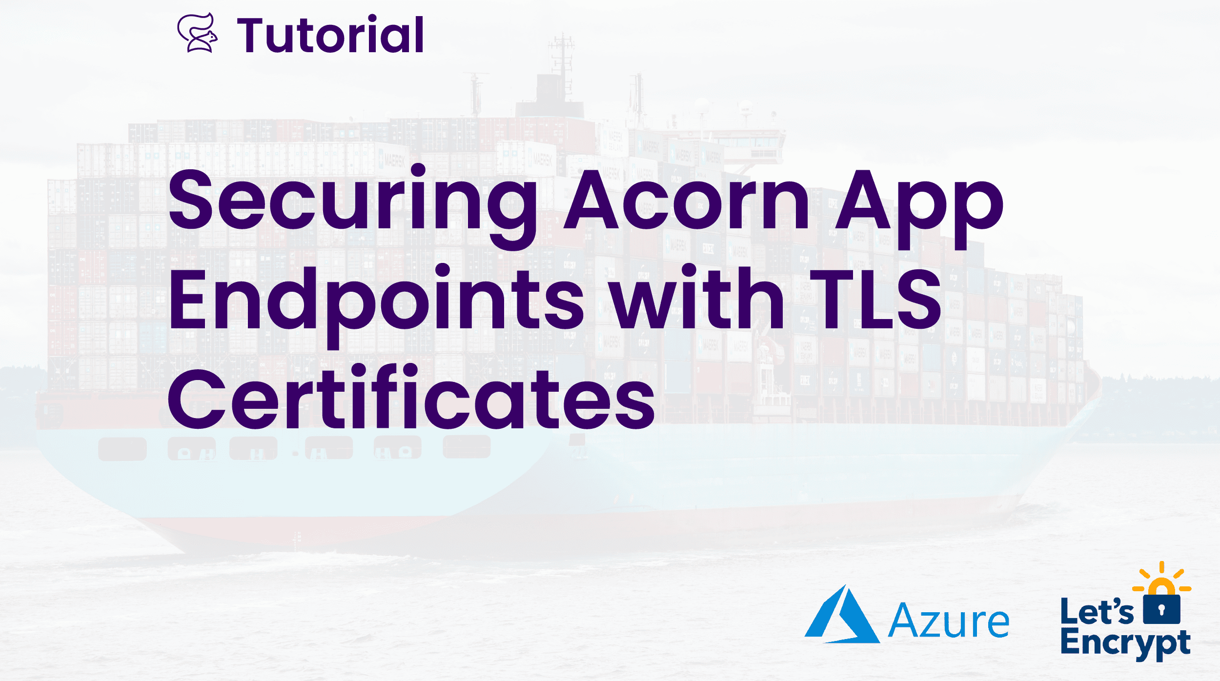 Securing Acorn App Endpoints with TLS Certificates