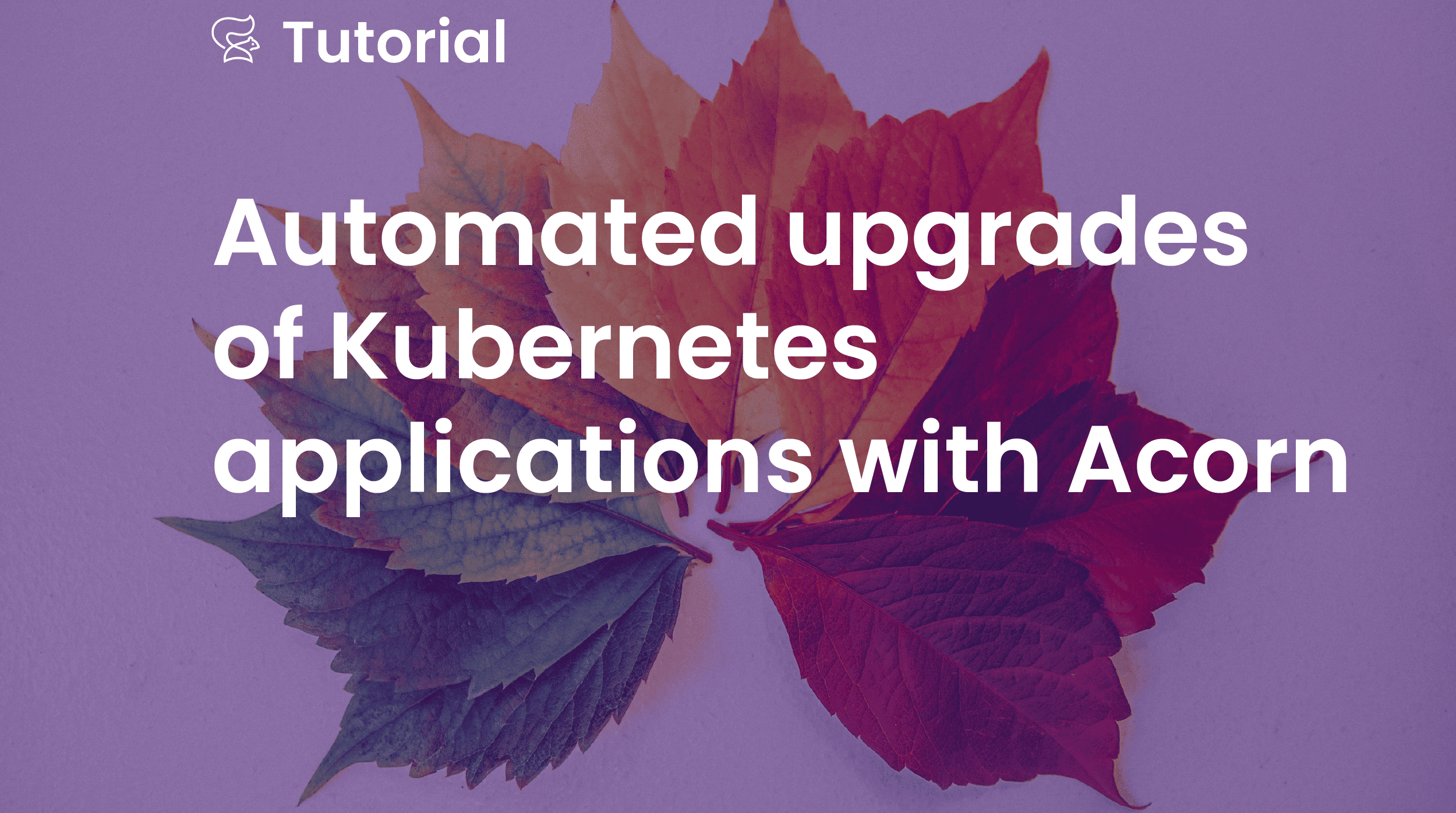 Automated upgrades of Kubernetes applications with Acorn