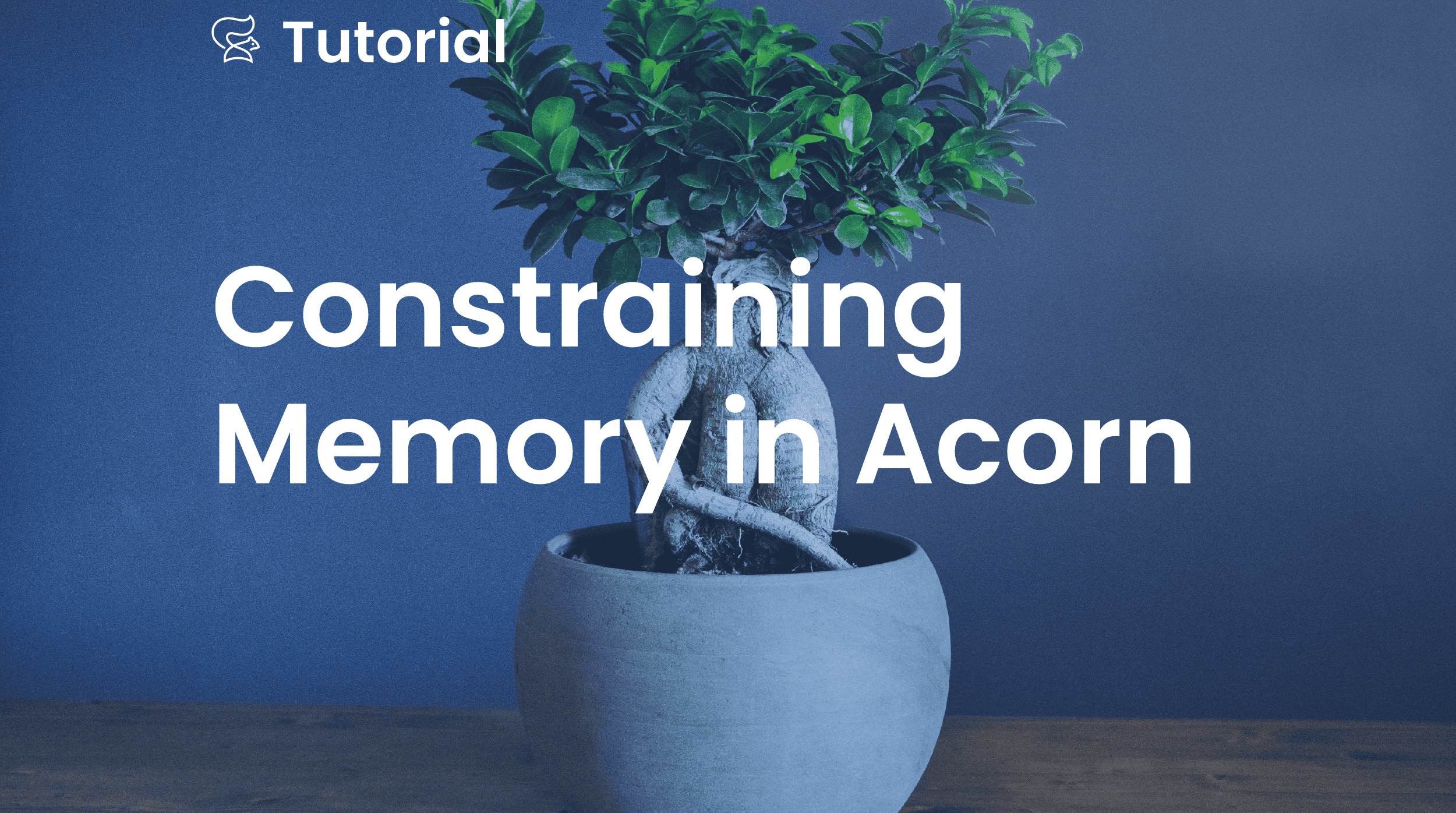 Constraining Memory in Acorn