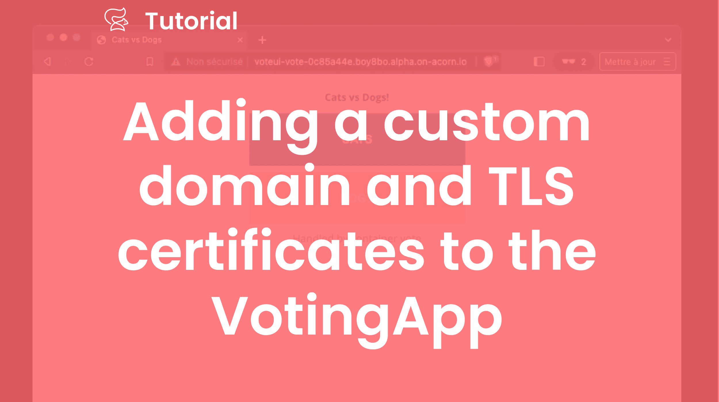 Adding a custom domain and TLS certificates to the VotingApp