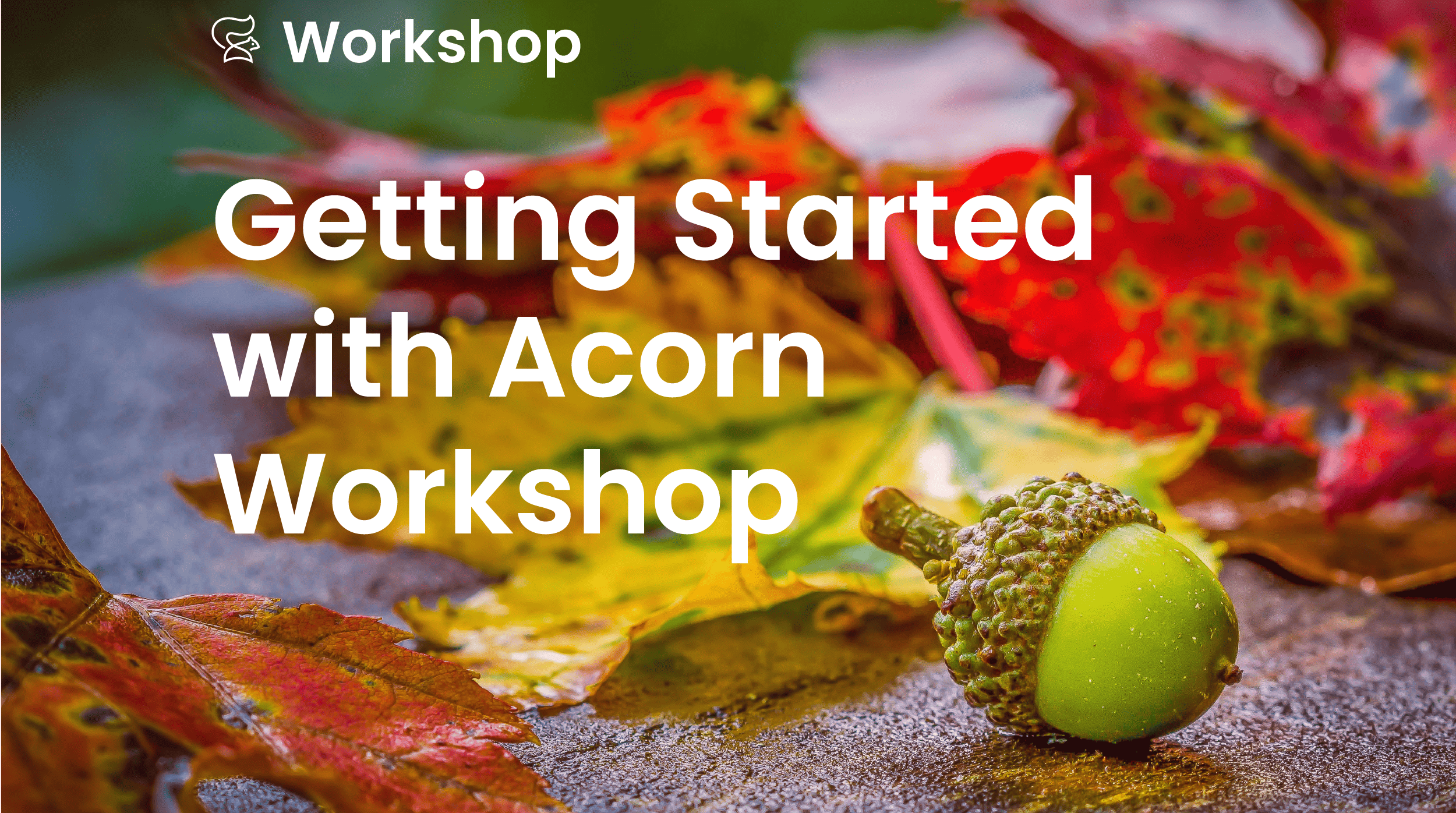 Getting Started with Acorn Workshop