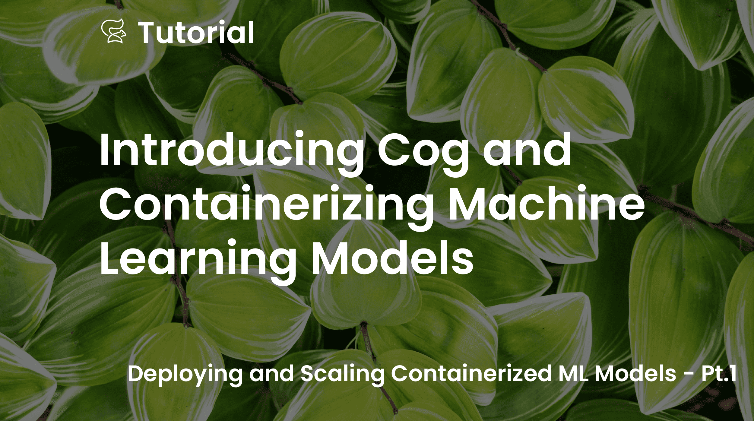 Introducing Cog and Containerizing Machine Learning Models
