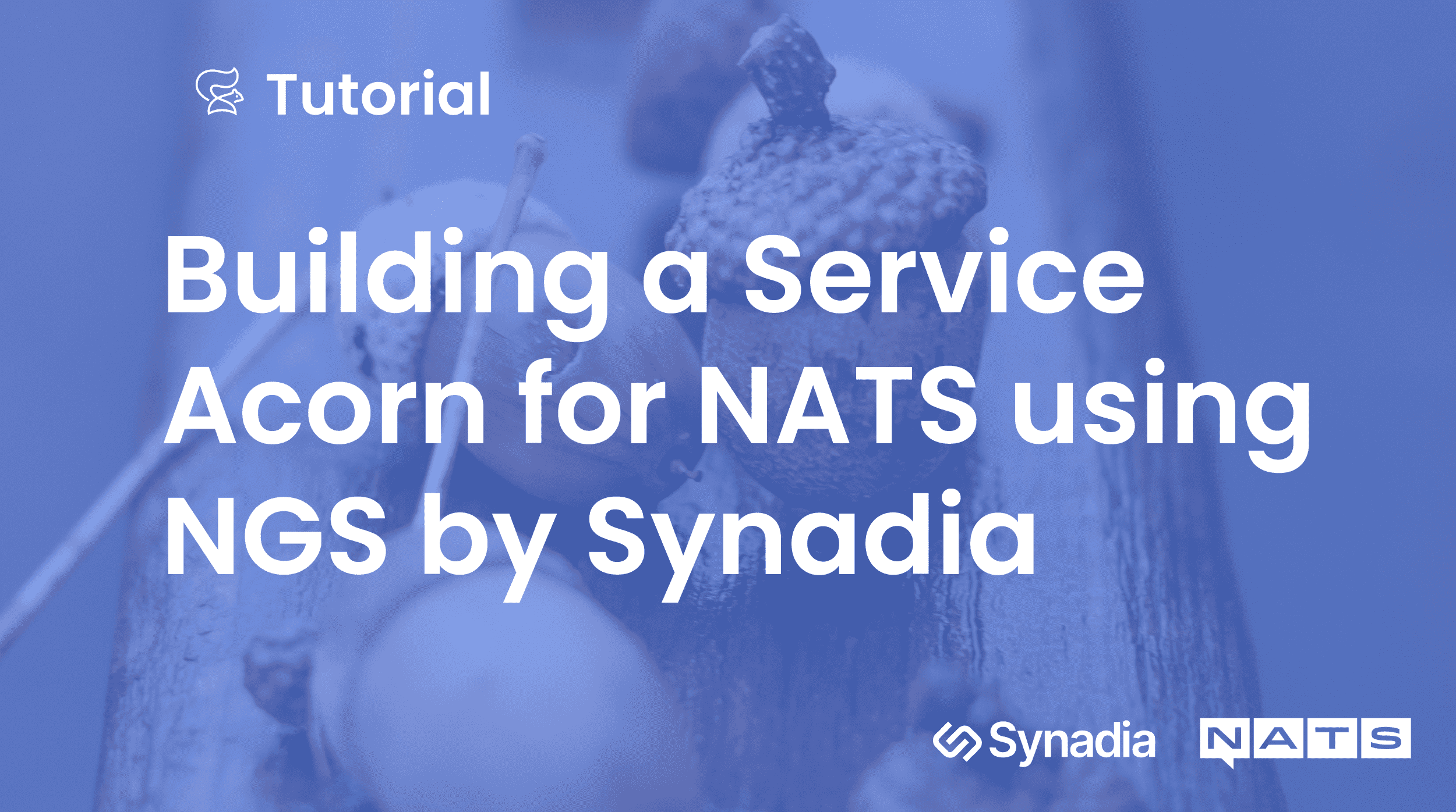 Building a Service Acorn for NATS using NGS by Synadia