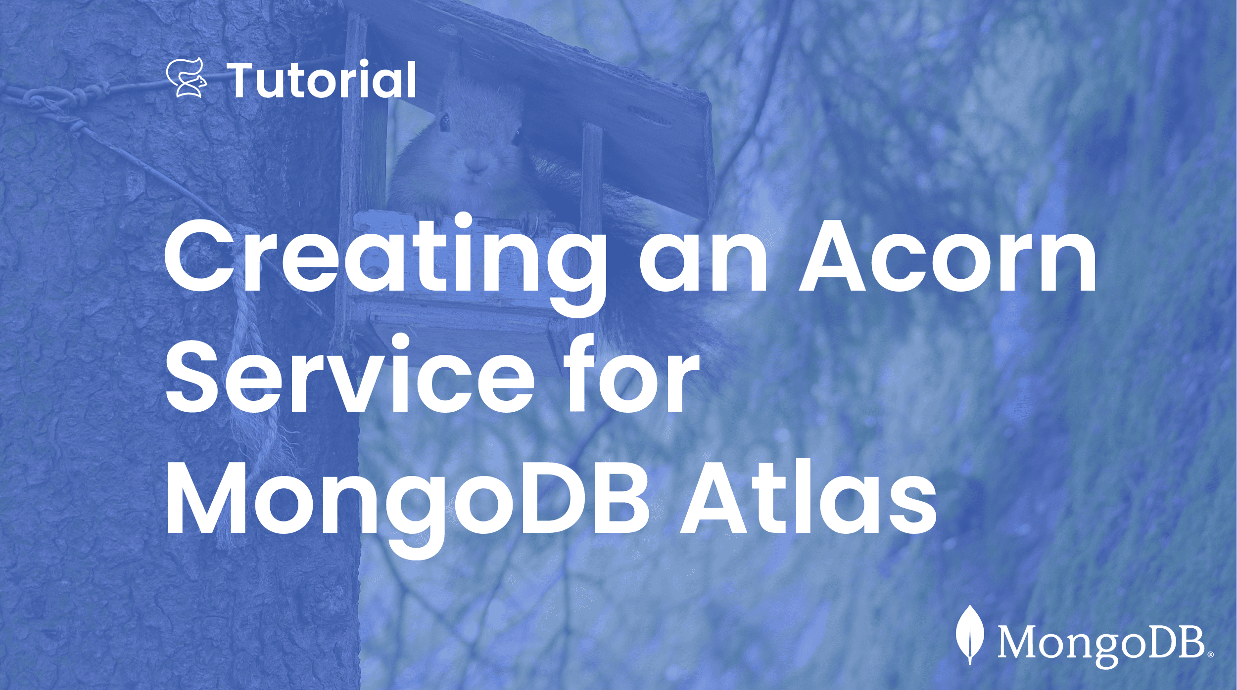 Creating an Acorn Service for MongoDB Atlas