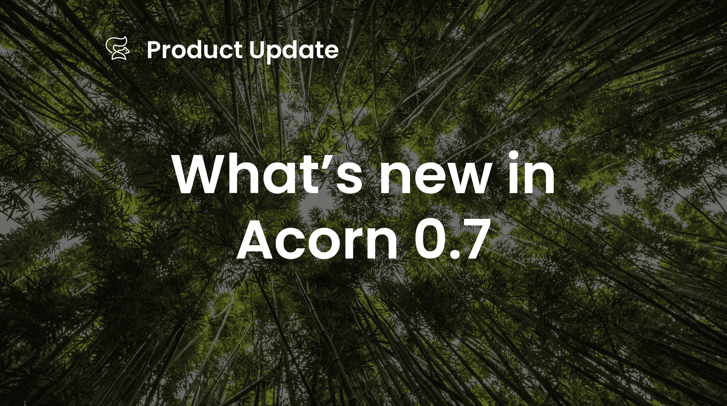 What’s New in Acorn 0.7