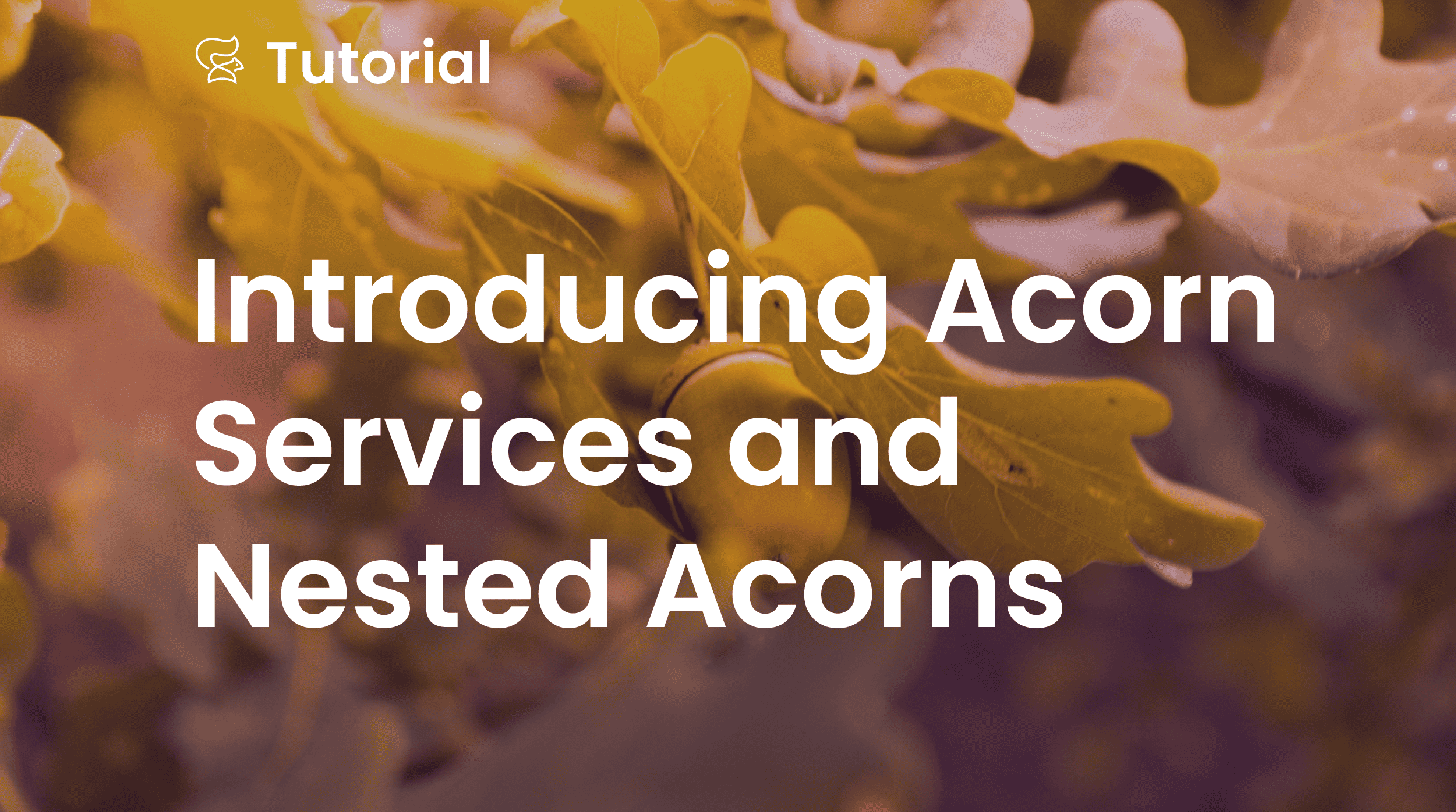 Introducing Acorn Services and Nested Acorns