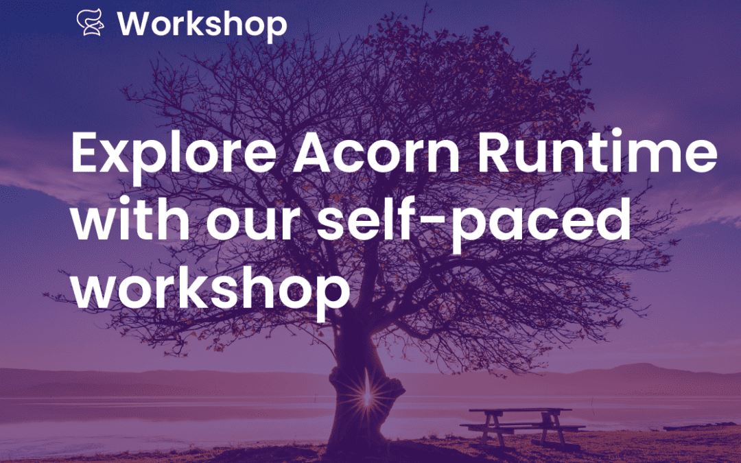 Explore our Self-Paced Acorn Runtime Workshop