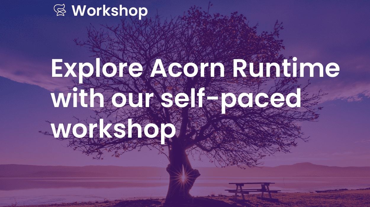 Explore our Self-Paced Acorn Runtime Workshop